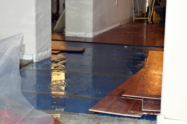 Professional Burst Pipe Cleanup technician working in South Park, PA